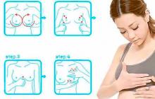 Массаж для увеличения груди Какой делать массаж для увеличения груди